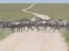 Don't Stop Here!